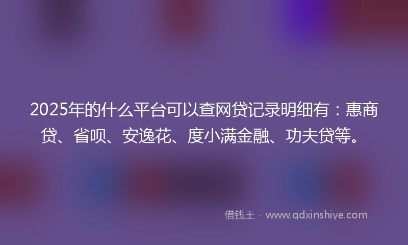 2025年的什么平台可以查网贷记录明细有：惠商贷、省呗、安逸花、度小满金融、功夫贷等。