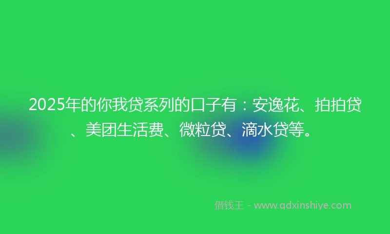 2025年的你我贷系列的口子有：安逸花、拍拍贷、美团生活费、微粒贷、滴水贷等。