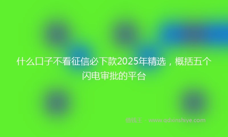 什么口子不看征信必下款2025年精选，概括五个闪电审批的平台