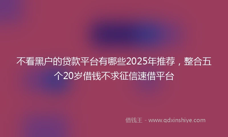 不看黑户的贷款平台有哪些2025年推荐，整合五个20岁借钱不求征信速借平台