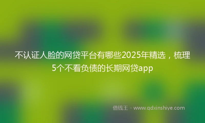 不认证人脸的网贷平台有哪些2025年精选，梳理5个不看负债的长期网贷app