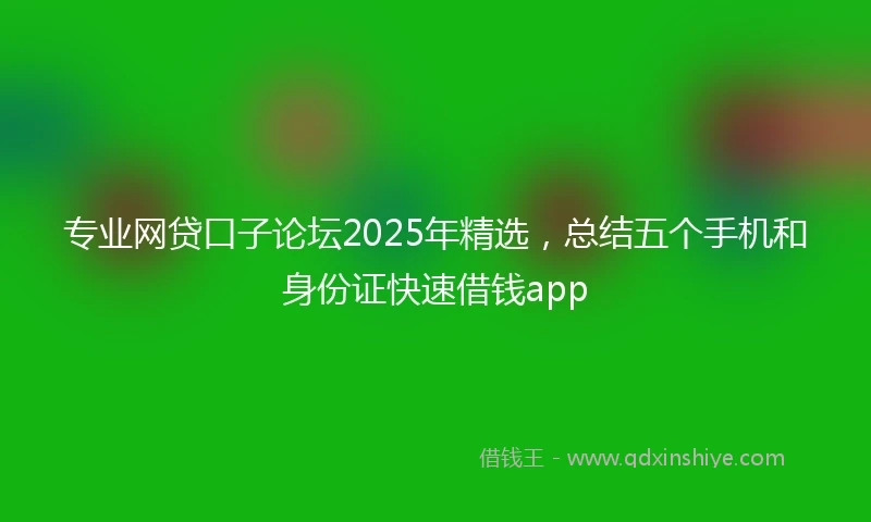 专业网贷口子论坛2025年精选，总结五个手机和身份证快速借钱app