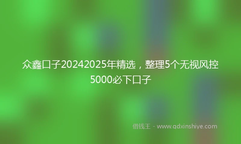 众鑫口子20242025年精选，整理5个无视风控5000必下口子