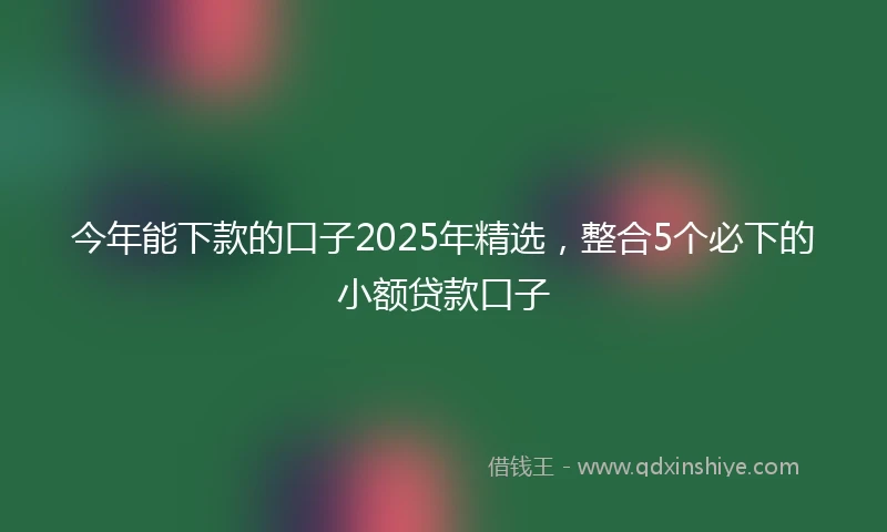 今年能下款的口子2025年精选，整合5个必下的小额贷款口子