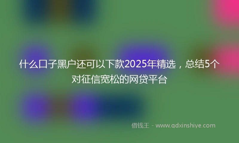 什么口子黑户还可以下款2025年精选，总结5个对征信宽松的网贷平台