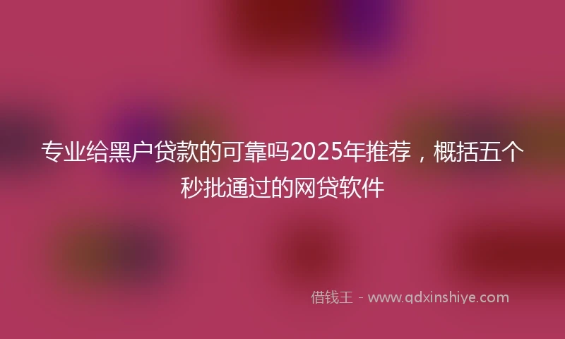 专业给黑户贷款的可靠吗2025年推荐，概括五个秒批通过的网贷软件