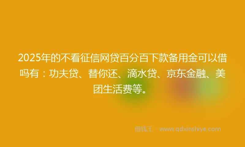 2025年的不看征信网贷百分百下款备用金可以借吗有：功夫贷、替你还、滴水贷、京东金融、美团生活费等。