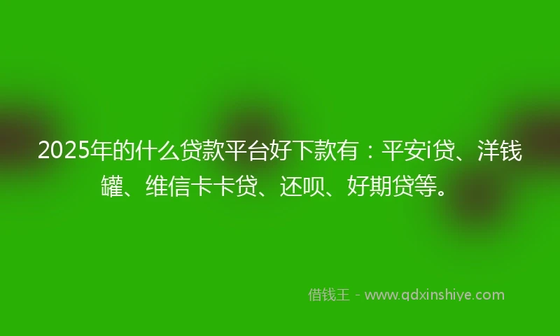 2025年的什么贷款平台好下款有：平安i贷、洋钱罐、维信卡卡贷、还呗、好期贷等。