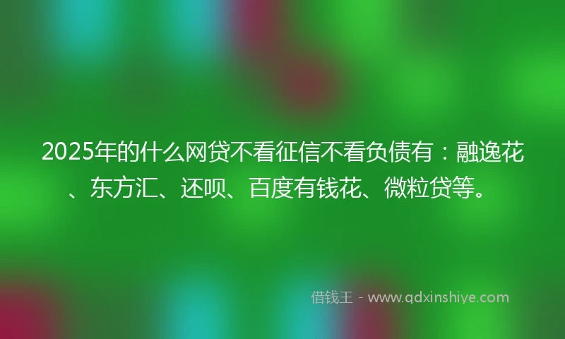 2025年的什么网贷不看征信不看负债有：融逸花、东方汇、还呗、百度有钱花、微粒贷等。