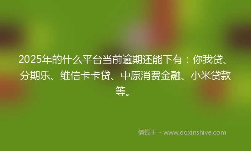 2025年的什么平台当前逾期还能下有：你我贷、分期乐、维信卡卡贷、中原消费金融、小米贷款等。
