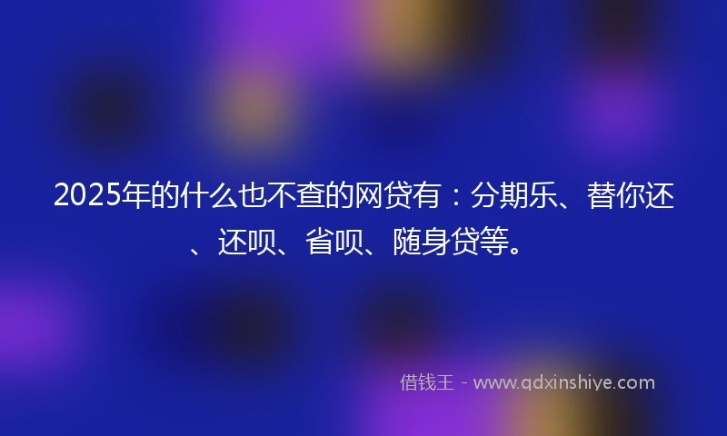 2025年的什么也不查的网贷有：分期乐、替你还、还呗、省呗、随身贷等。