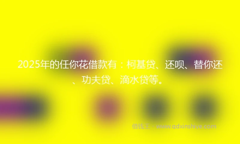 2025年的任你花借款有：柯基贷、还呗、替你还、功夫贷、滴水贷等。