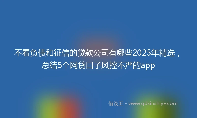不看负债和征信的贷款公司有哪些2025年精选，总结5个网贷口子风控不严的app