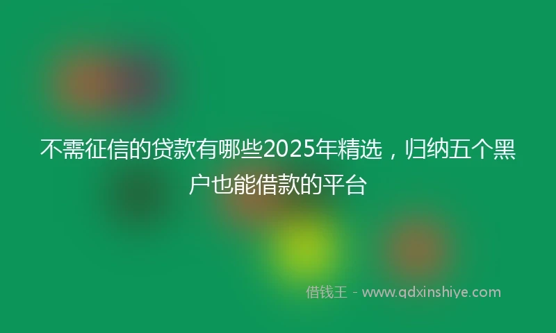 不需征信的贷款有哪些2025年精选，归纳五个黑户也能借款的平台