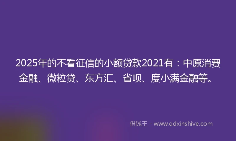 2025年的不看征信的小额贷款2021有：中原消费金融、微粒贷、东方汇、省呗、度小满金融等。