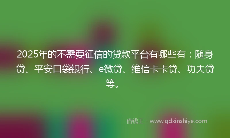 2025年的不需要征信的贷款平台有哪些有：随身贷、平安口袋银行、e微贷、维信卡卡贷、功夫贷等。