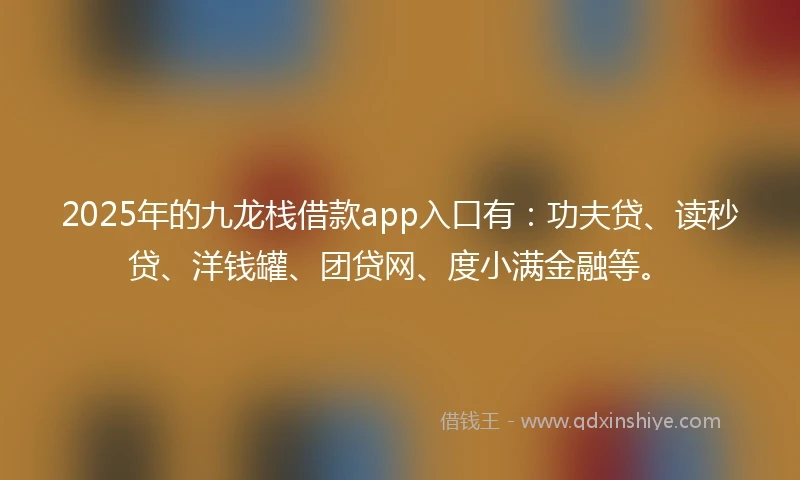 2025年的九龙栈借款app入口有：功夫贷、读秒贷、洋钱罐、团贷网、度小满金融等。