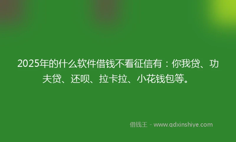 2025年的什么软件借钱不看征信有：你我贷、功夫贷、还呗、拉卡拉、小花钱包等。