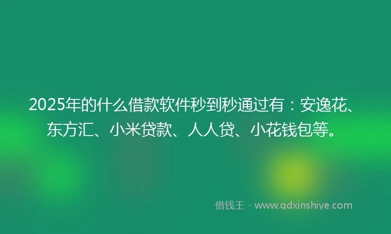 2025年的什么借款软件秒到秒通过有：安逸花、东方汇、小米贷款、人人贷、小花钱包等。