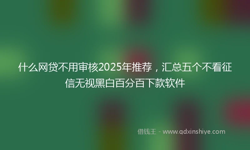 什么网贷不用审核2025年推荐，汇总五个不看征信无视黑白百分百下款软件