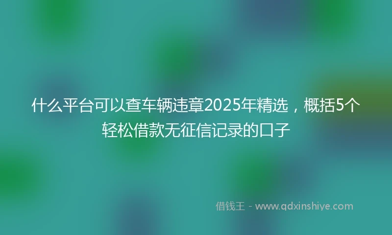 什么平台可以查车辆违章2025年精选，概括5个轻松借款无征信记录的口子