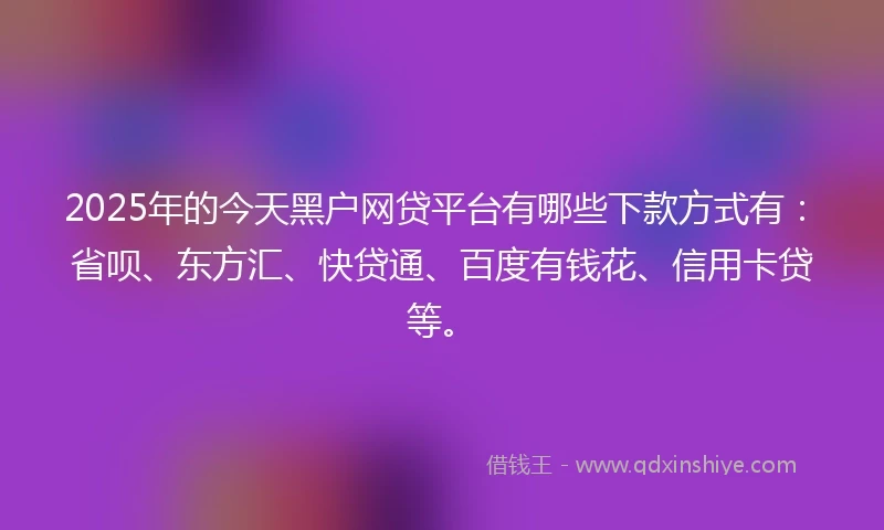 2025年的今天黑户网贷平台有哪些下款方式有:省呗、东方汇、快贷通、百度有钱花、信用卡贷等。