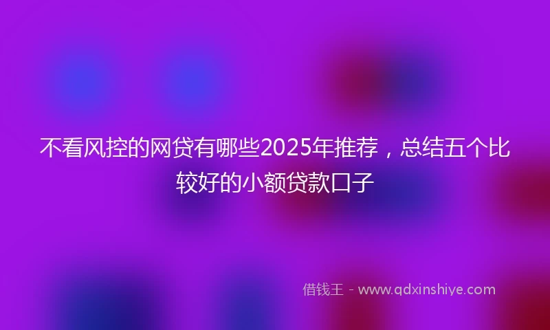 不看风控的网贷有哪些2025年推荐，总结五个比较好的小额贷款口子