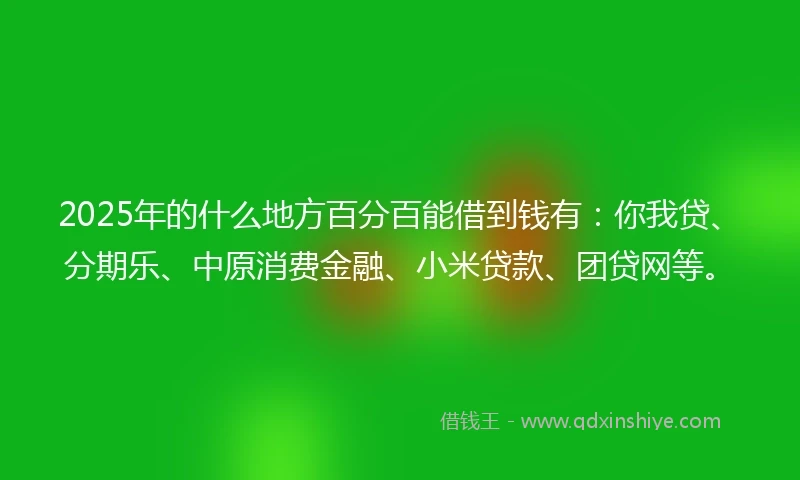 2025年的什么地方百分百能借到钱有：你我贷、分期乐、中原消费金融、小米贷款、团贷网等。