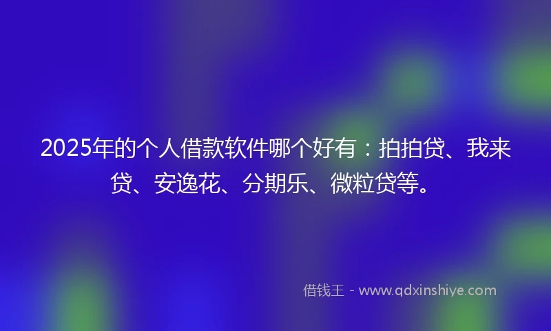 2025年的个人借款软件哪个好有：拍拍贷、我来贷、安逸花、分期乐、微粒贷等。