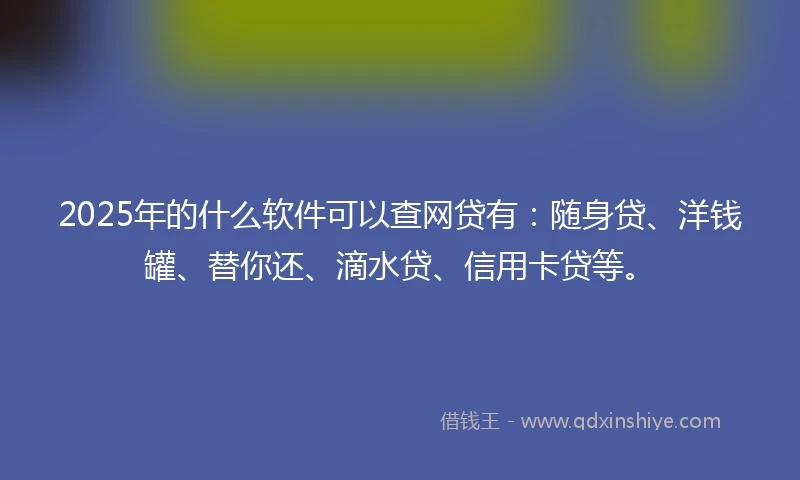 2025年的什么软件可以查网贷有：随身贷、洋钱罐、替你还、滴水贷、信用卡贷等。