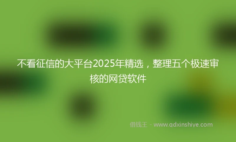 不看征信的大平台2025年精选，整理五个极速审核的网贷软件
