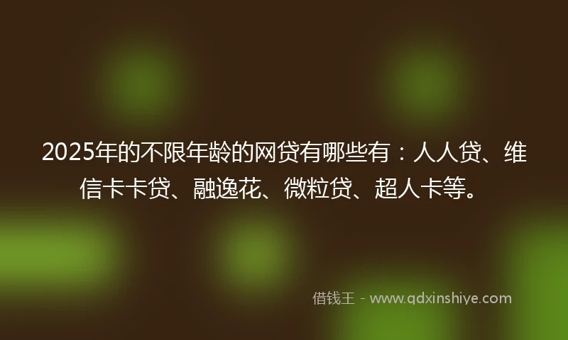 2025年的不限年龄的网贷有哪些有：人人贷、维信卡卡贷、融逸花、微粒贷、超人卡等。