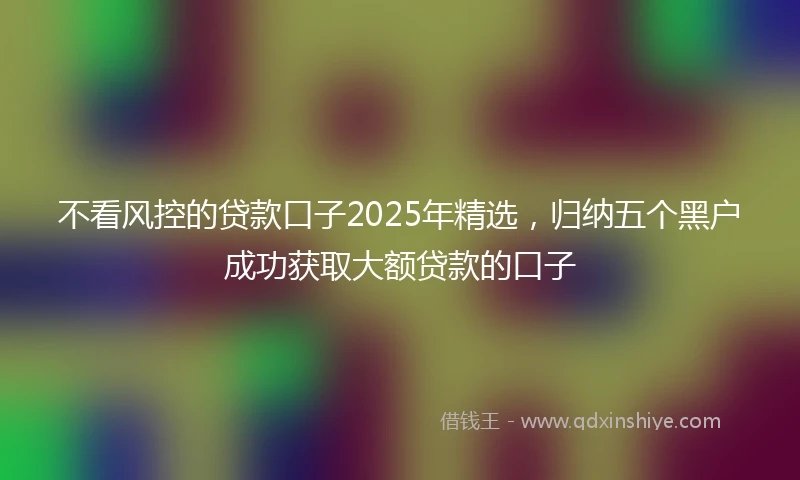 不看风控的贷款口子2025年精选，归纳五个黑户成功获取大额贷款的口子