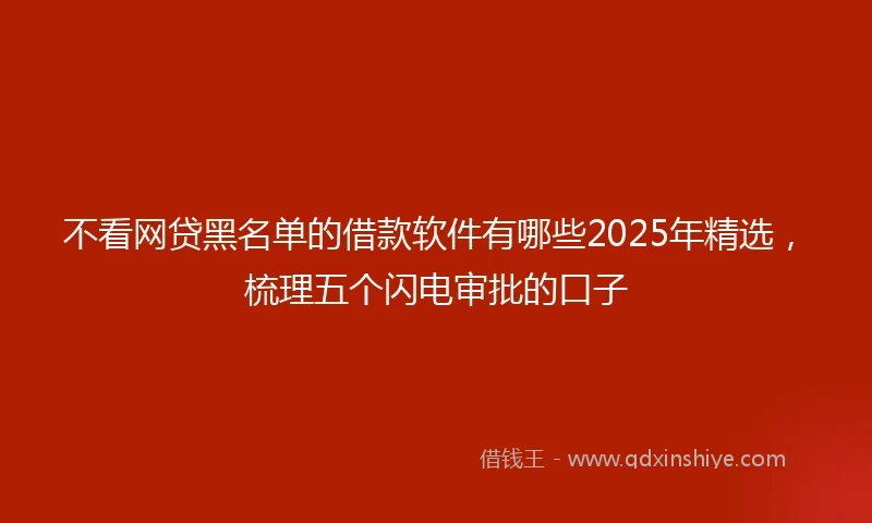 不看网贷黑名单的借款软件有哪些2025年精选，梳理五个闪电审批的口子