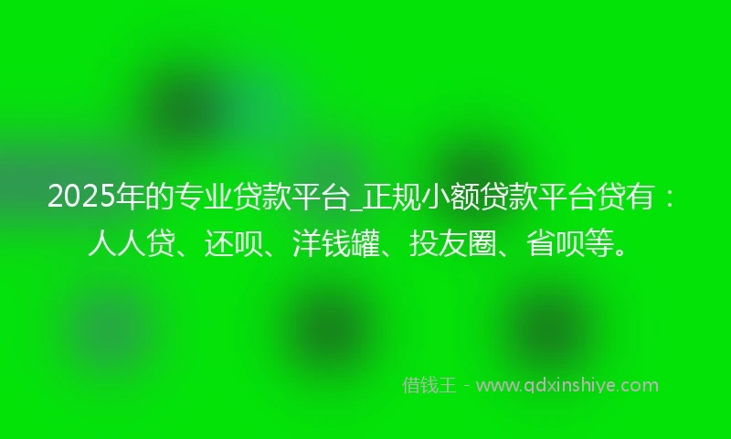 2025年的专业贷款平台_正规小额贷款平台贷有：人人贷、还呗、洋钱罐、投友圈、省呗等。