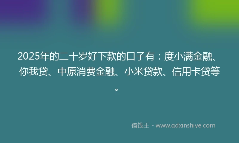 2025年的二十岁好下款的口子有：度小满金融、你我贷、中原消费金融、小米贷款、信用卡贷等。