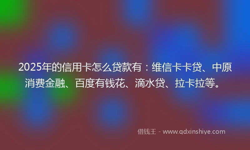 2025年的信用卡怎么贷款有：维信卡卡贷、中原消费金融、百度有钱花、滴水贷、拉卡拉等。