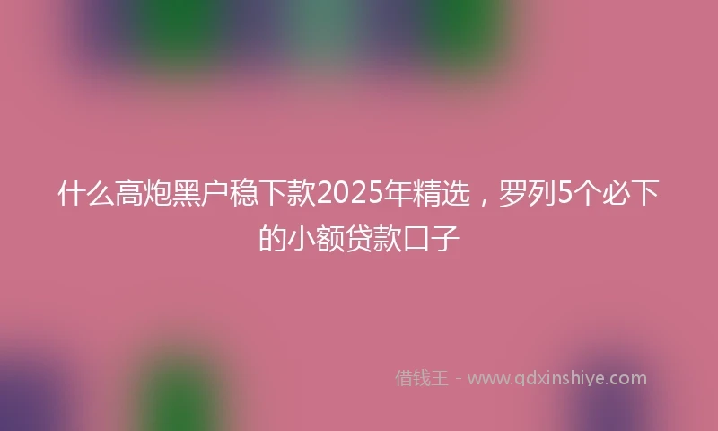 什么高炮黑户稳下款2025年精选，罗列5个必下的小额贷款口子