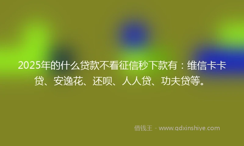 2025年的什么贷款不看征信秒下款有：维信卡卡贷、安逸花、还呗、人人贷、功夫贷等。