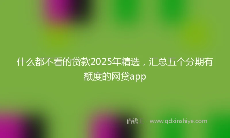 什么都不看的贷款2025年精选，汇总五个分期有额度的网贷app