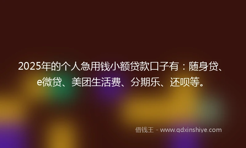 2025年的个人急用钱小额贷款口子有：随身贷、e微贷、美团生活费、分期乐、还呗等。