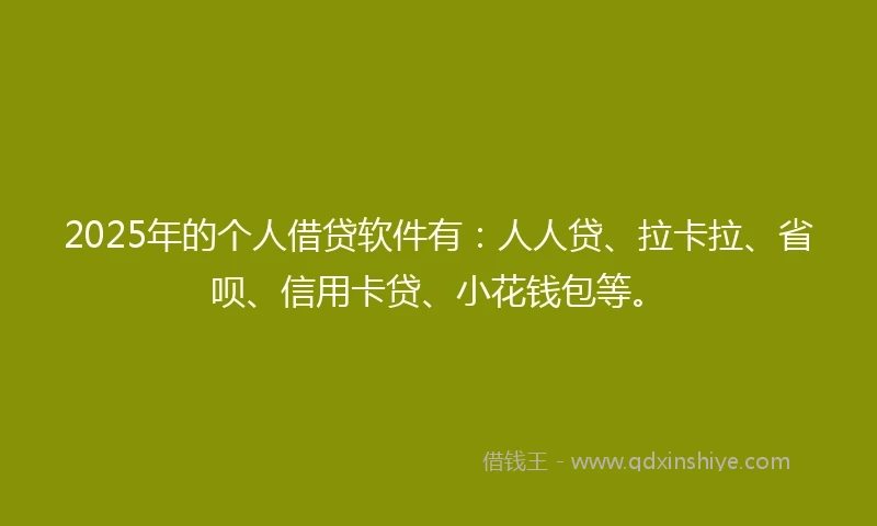 2025年的个人借贷软件有：人人贷、拉卡拉、省呗、信用卡贷、小花钱包等。