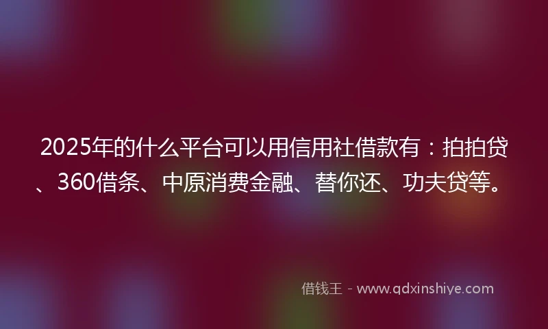 2025年的什么平台可以用信用社借款有：拍拍贷、360借条、中原消费金融、替你还、功夫贷等。