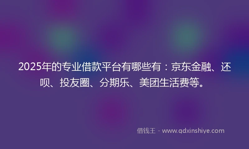 2025年的专业借款平台有哪些有：京东金融、还呗、投友圈、分期乐、美团生活费等。