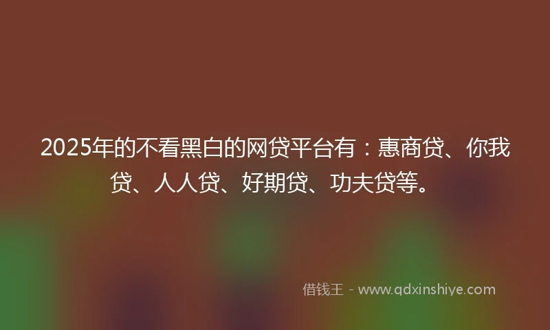 2025年的不看黑白的网贷平台有：惠商贷、你我贷、人人贷、好期贷、功夫贷等。