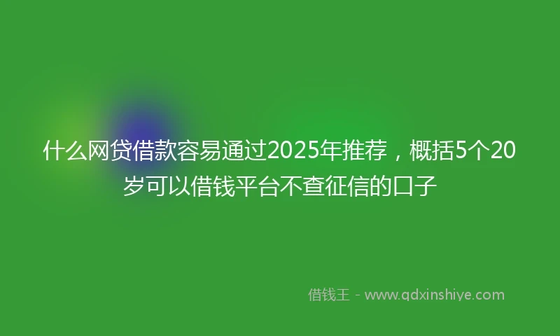 什么网贷借款容易通过2025年推荐，概括5个20岁可以借钱平台不查征信的口子