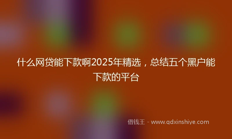 什么网贷能下款啊2025年精选，总结五个黑户能下款的平台