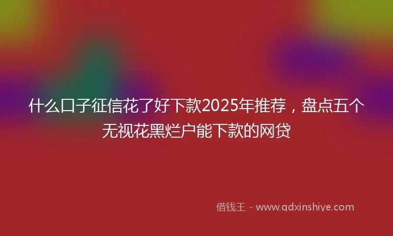 什么口子征信花了好下款2025年推荐，盘点五个无视花黑烂户能下款的网贷