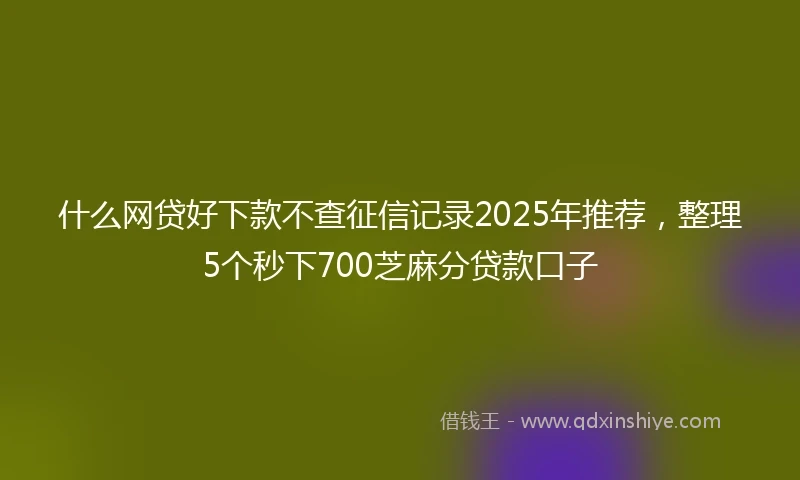 什么网贷好下款不查征信记录2025年推荐，整理5个秒下700芝麻分贷款口子