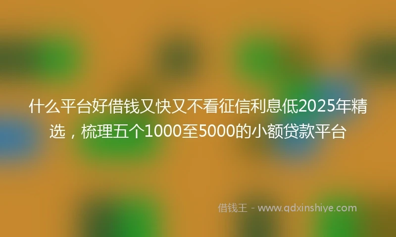 什么平台好借钱又快又不看征信利息低2025年精选，梳理五个1000至5000的小额贷款平台